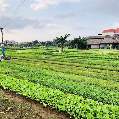 Snow Pearl Homestay Hoi An Dış mekan fotoğraf